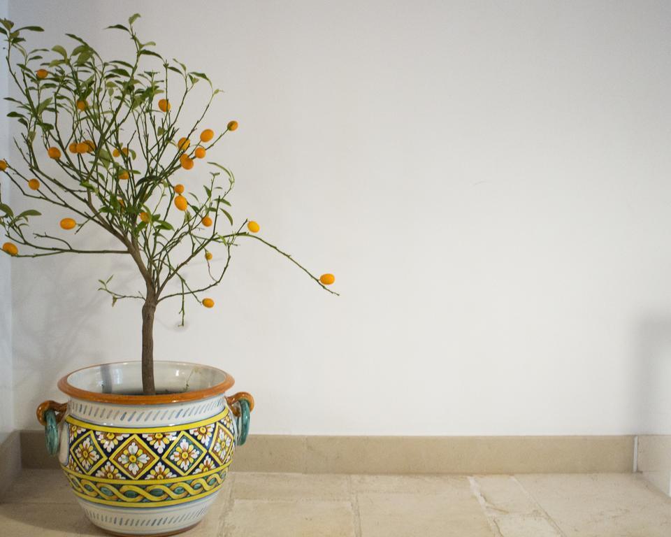 Dimora Nonna Rosa Bed & Breakfast Conversano Luaran gambar